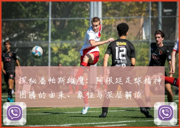 探秘潘帕斯雄鹰：阿根廷足球精神图腾的由来、象征与深层解读